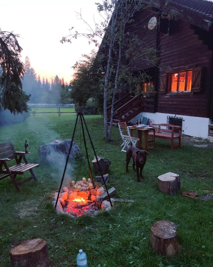 Ferienhaus Ella&Puck Bad Mitterndorf Ngoại thất bức ảnh
